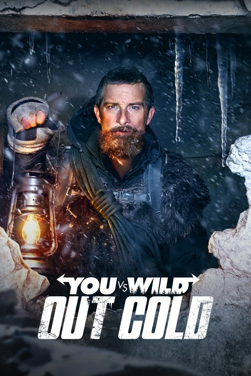 You vs. Wild: Out Cold Poster
