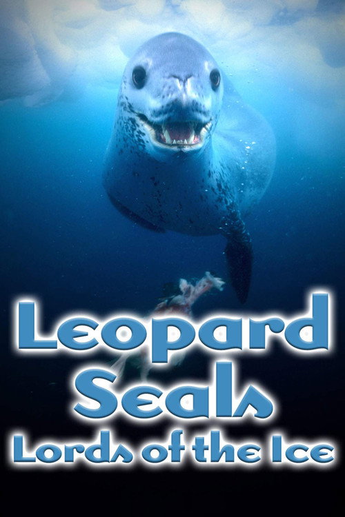 Leopard Seals: Lords of the Ice Poster