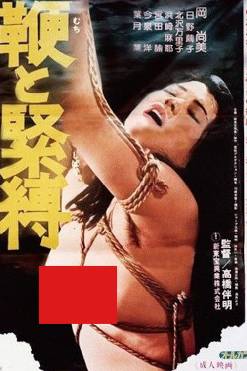 Whip and Bondage Poster