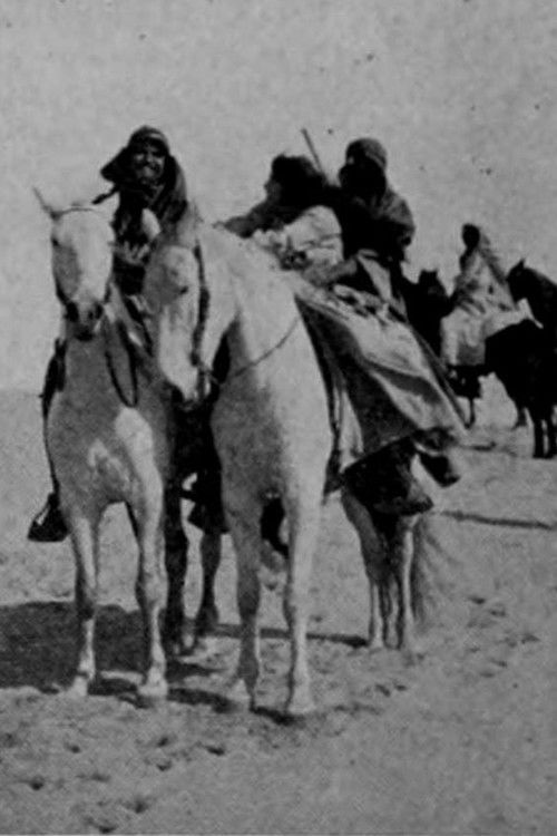 The Poetic Justice of Omar Khan Poster