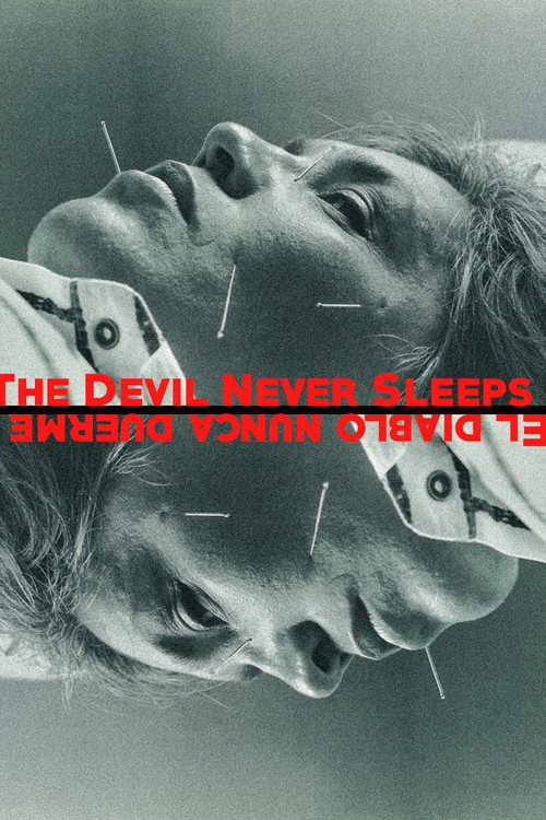 The Devil Never Sleeps Poster
