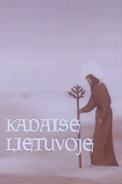 Once Upon a Time in Lithuania Poster