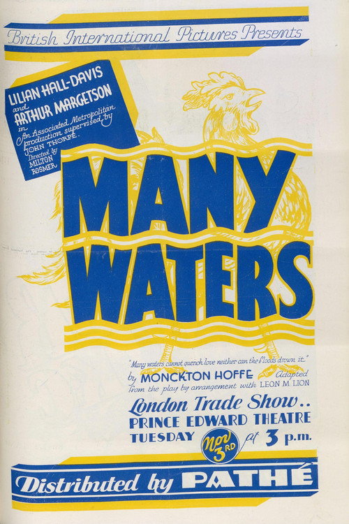 Many Waters Poster