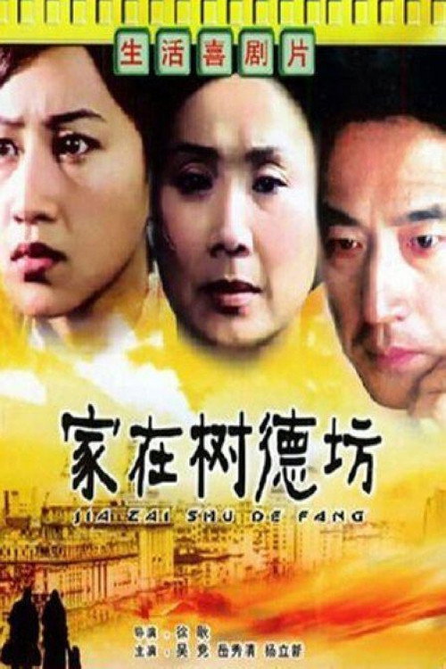 家在树德坊 Poster