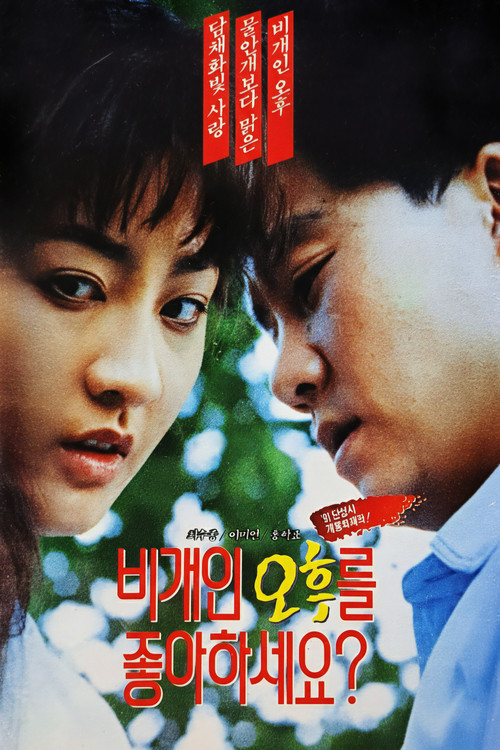 Do You Like Afternoons After a Storm? Poster