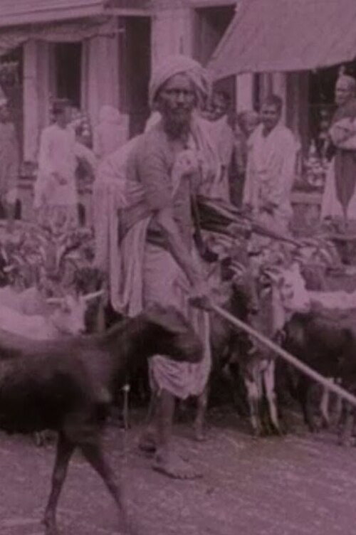 Picturesque India or, In and About Calcutta Poster