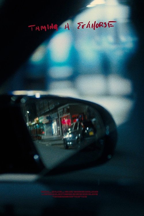 TAMING A SEAHORSE Poster