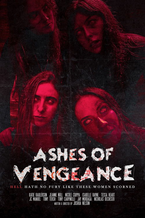 Ashes of Vengeance Poster