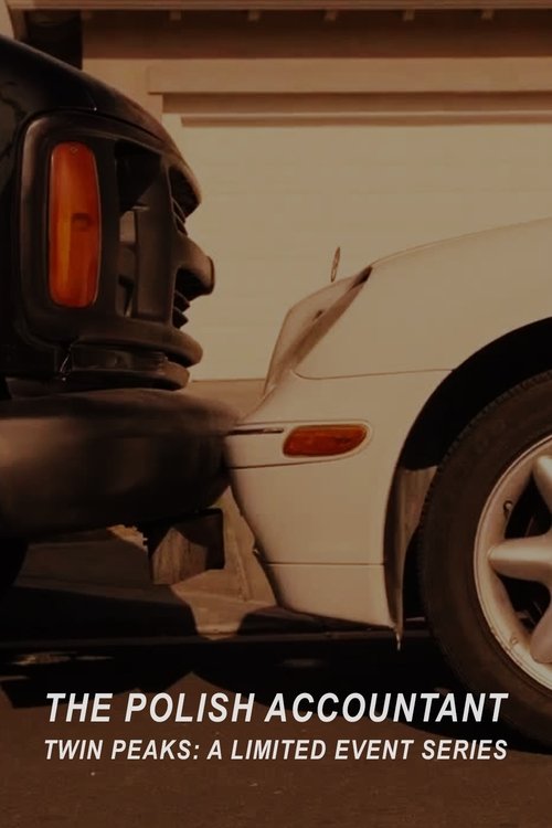 The Polish Accountant Poster