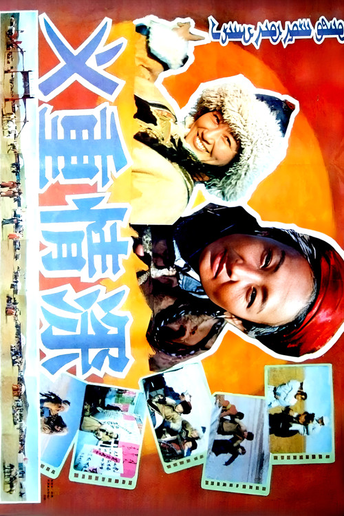 义重情深 Poster