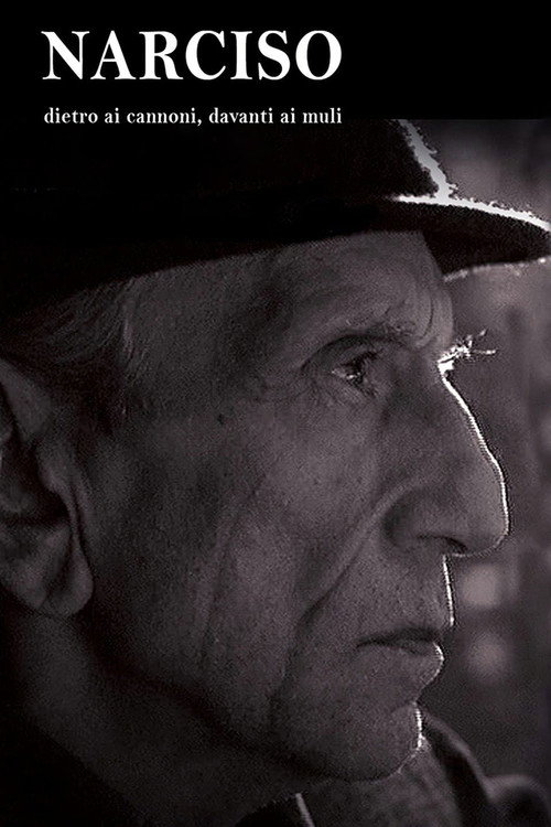 Narciso - Dietro ai cannoni, davanti ai muli Poster