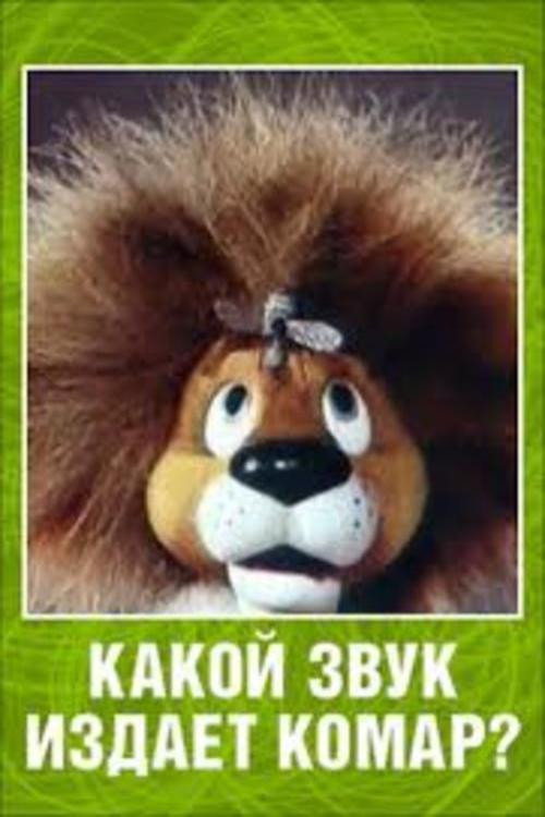 What Sound Does a Mosquito Make? Poster