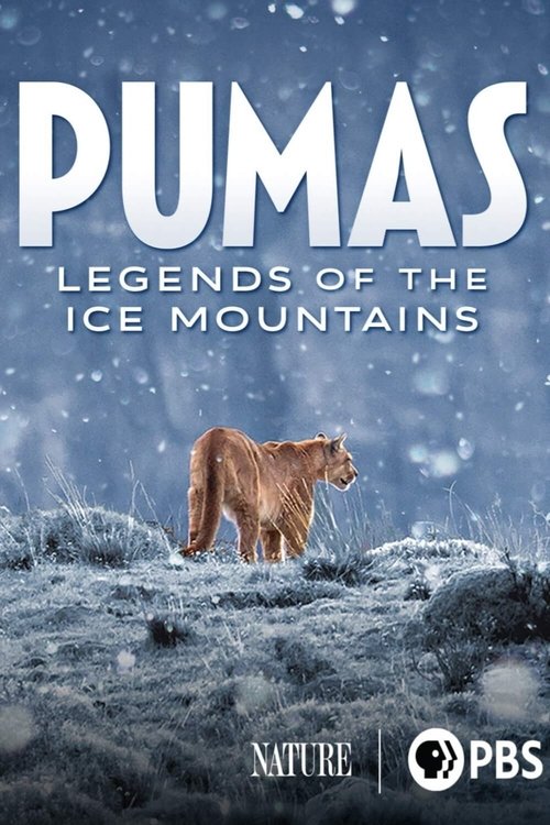 Pumas: Legends of the Ice Mountains Poster