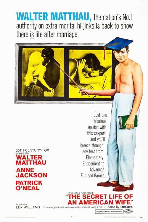 The Secret Life of an American Wife Poster