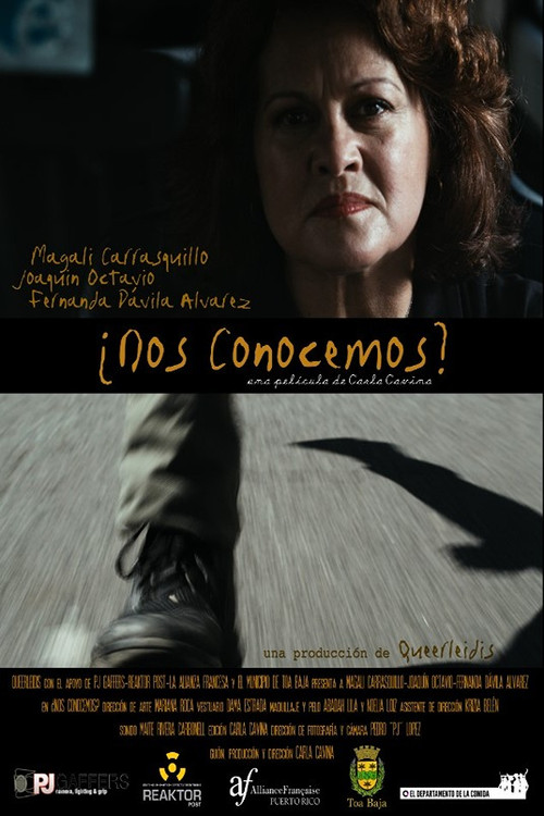 ¿Nos conocemos? Poster