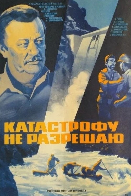 I Do Not Allow the Catastrophe Poster