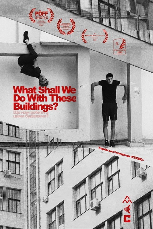 What Shall We Do With These Buildings? Poster