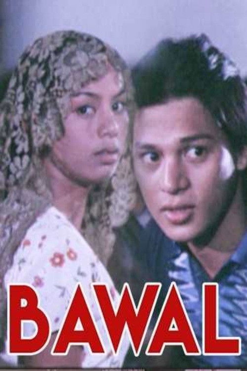 Bawal Poster
