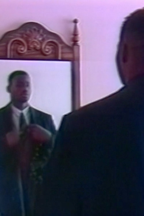 The Colour of Immunity Poster