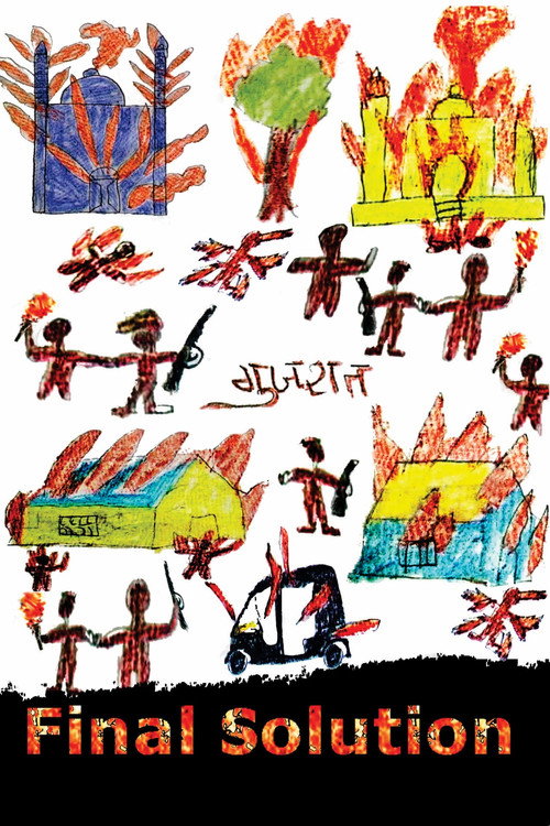 Final Solution Poster