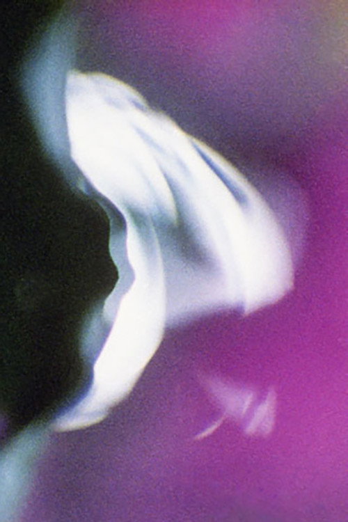 Voluptuous Sleep Poster