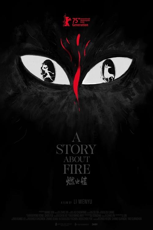 A Story About Fire Poster