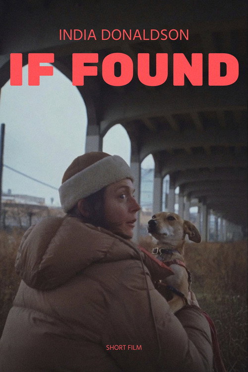 If Found Poster