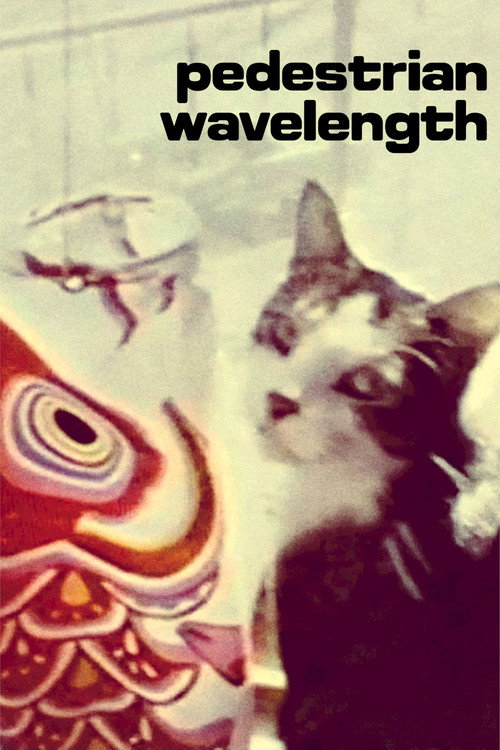 Pedestrian Wavelength Poster