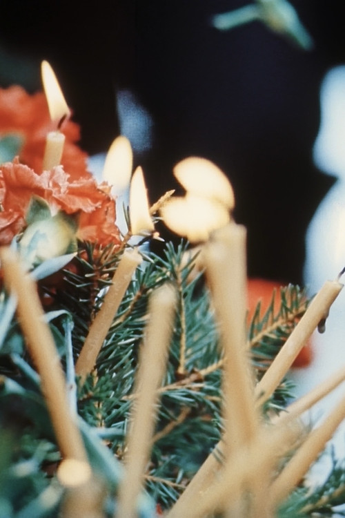 Motherland! We Have Returned Poster