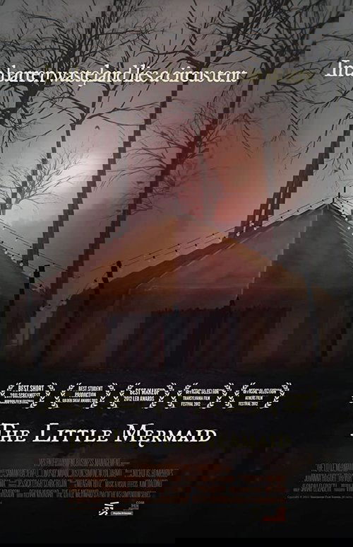 The Little Mermaid Poster