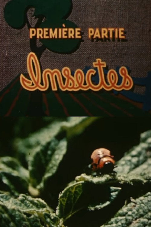 The Enemies of the Potato: Insects Poster