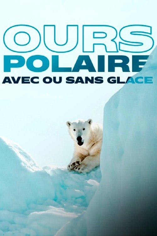 Face to Face with the Polar Bear Poster
