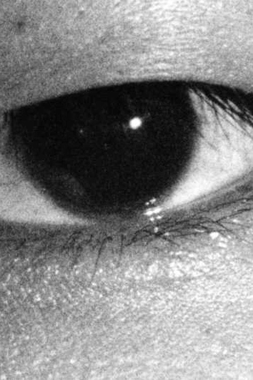 Human Flicker Poster