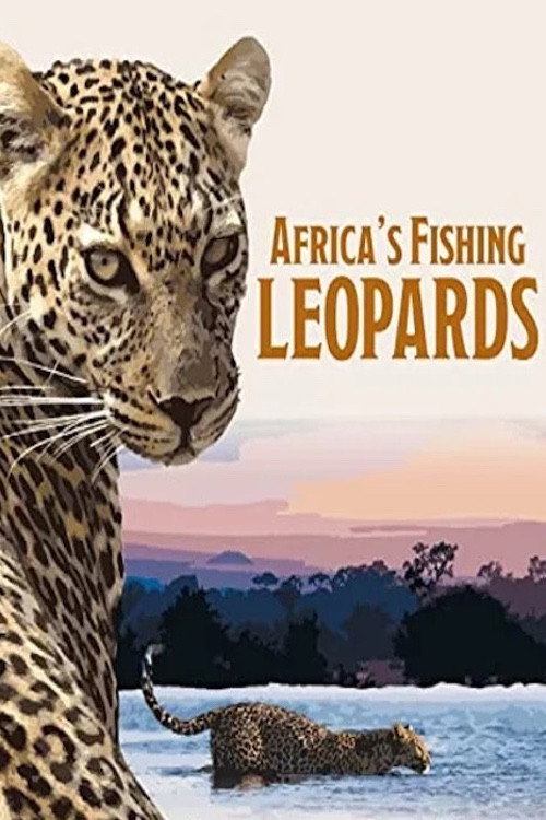 Africa's Fishing Leopards Poster