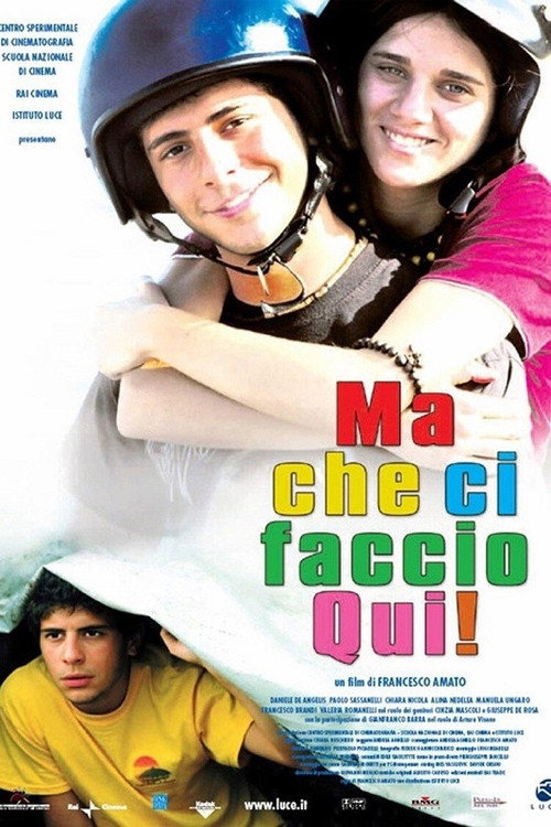 Ma che ci faccio qui! Poster