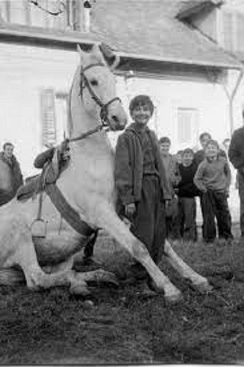 The Time of Horses Poster