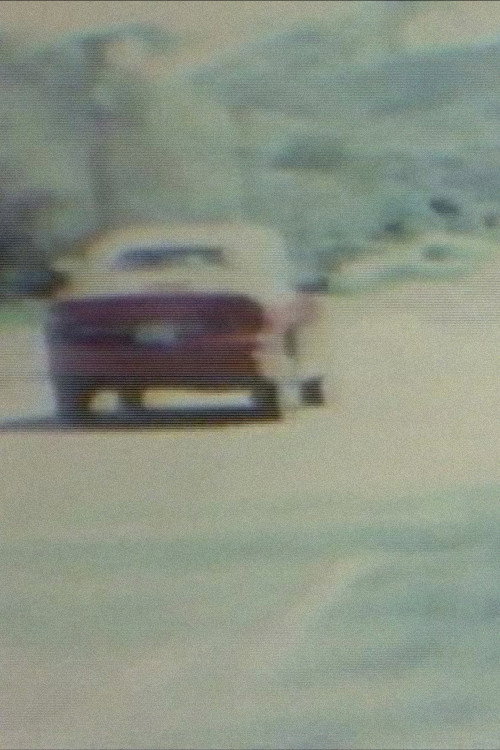 T.Z. USA 1991 - Going Fast Slow (V.4) Poster