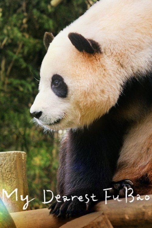 My Dearest Fu Bao Poster