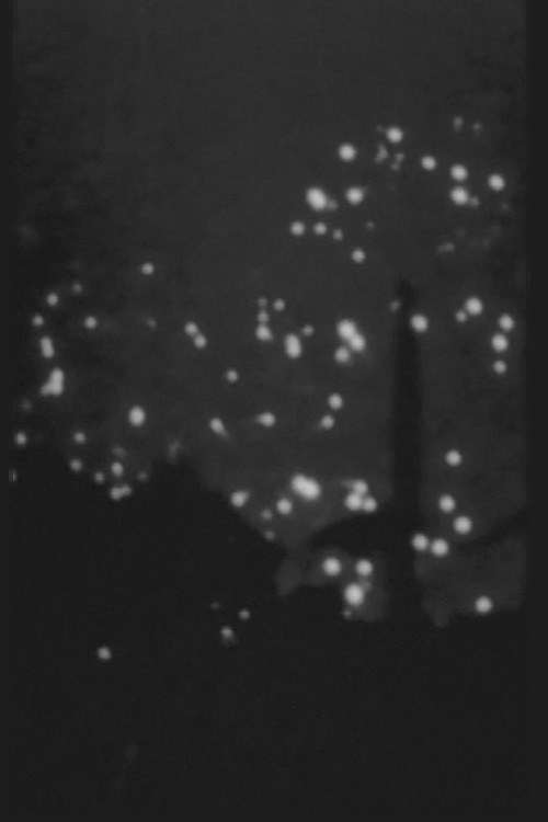 AFTERIMAGE OF SUMMER Poster