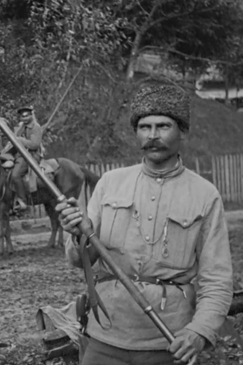 Polonia Restituta Poster