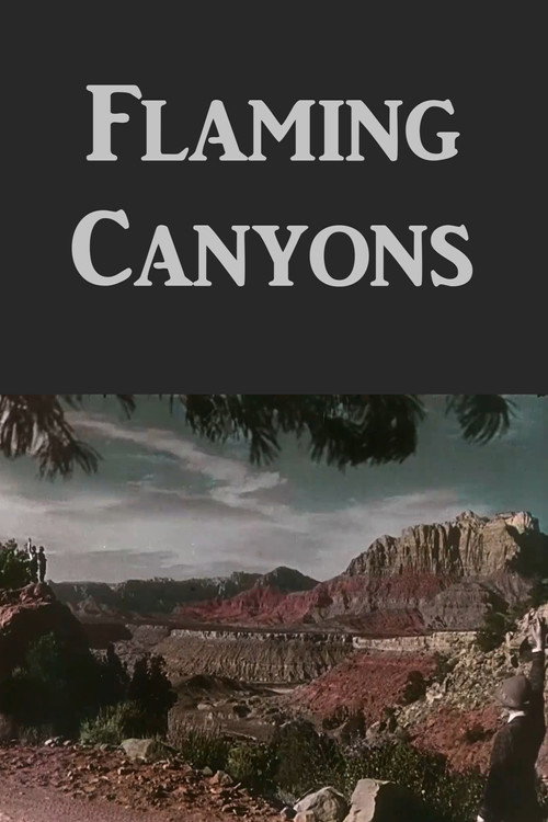 Flaming Canyons Poster