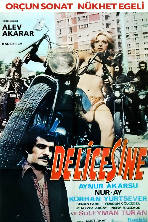 Delicesine Poster