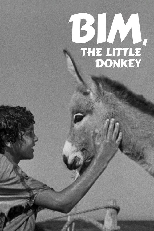 Bim, the Little Donkey Poster