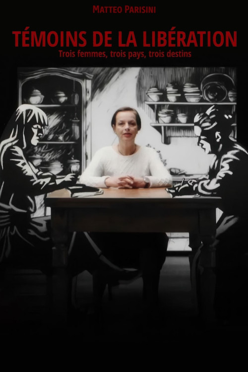 Liberation Diaries Poster