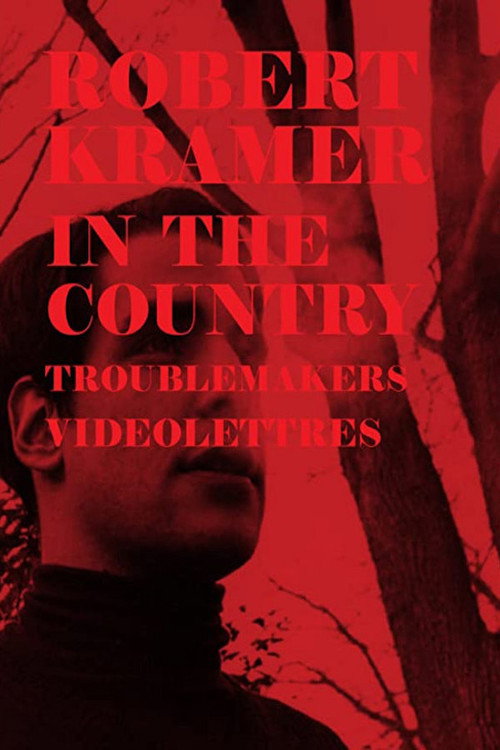 In the Country Poster