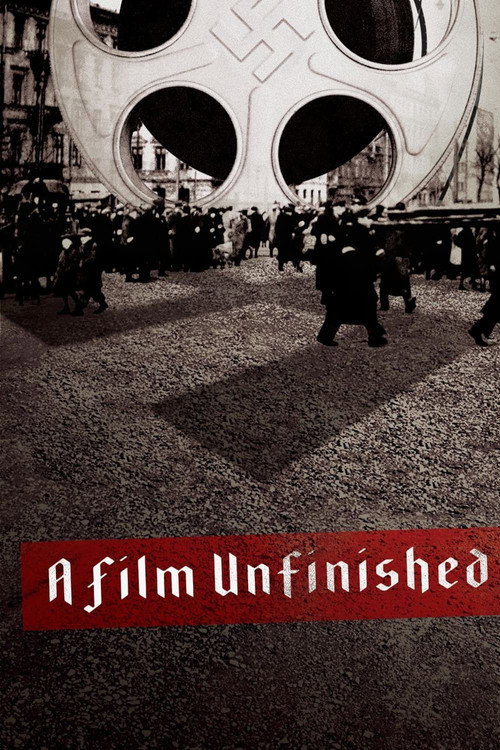 A Film Unfinished Poster