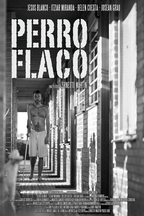Perro flaco Poster