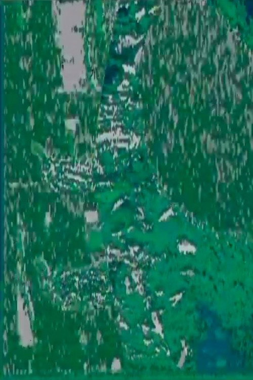 L'adoration de la terre Poster