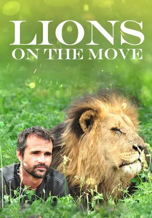 Lions on the Move Poster