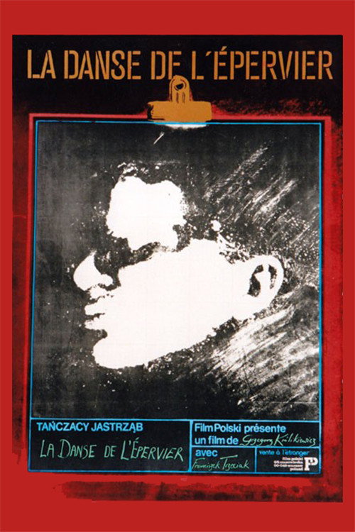 The Dance of the Hawk Poster